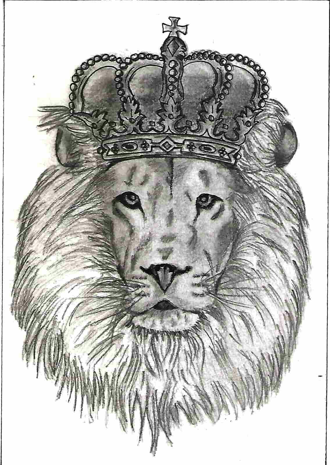 Small Graphite sketch of Lion