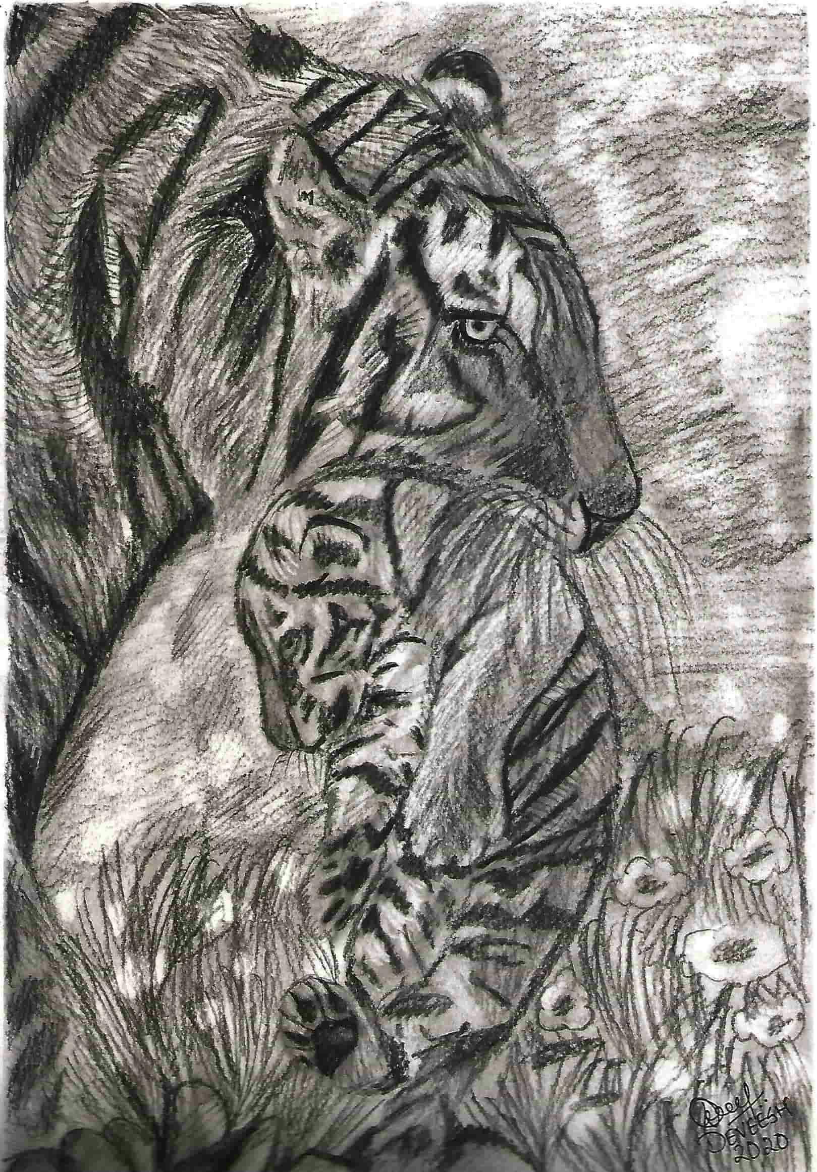 Pencil Sketch of Tiger holding his Cub